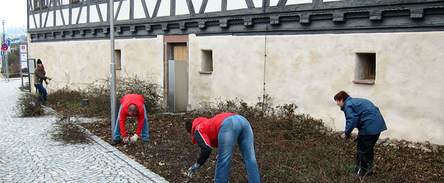 Pflegepatenschaft am Rosenbeet beim Waffenmuseum (Foto: Brigitte Günkel)